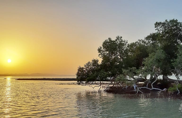 Sunset at Wadi El Gemal National Park (Red Sea Coast)