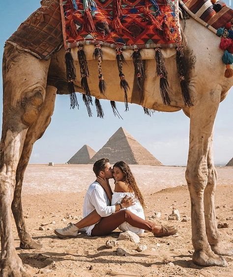 Cairo and Sharm El Sheikh Holiday Package …