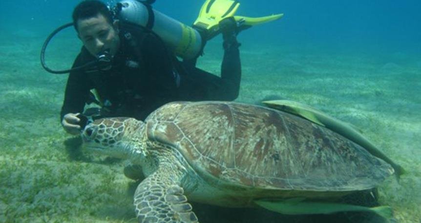 Turtle Bay - Egypt tour magic
