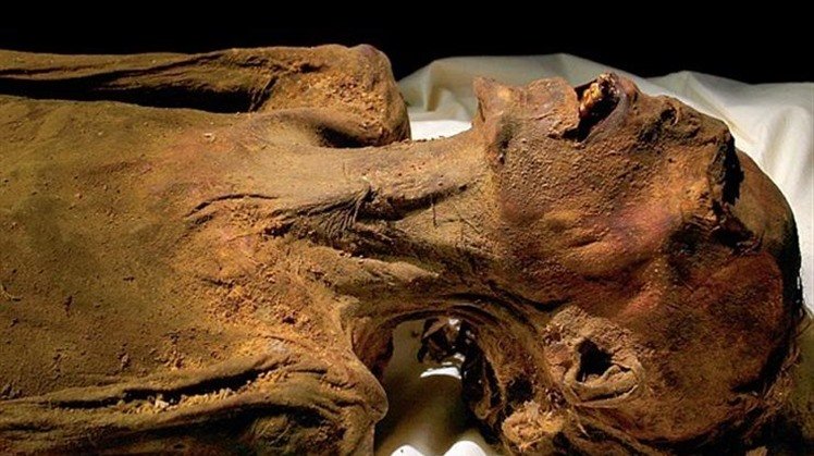 The Discovery of the Deir el-Bahari Royal Cache