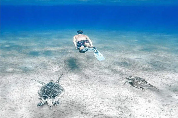 Abu Dabbab Beach Marsa Alam - Egypt tour Magic