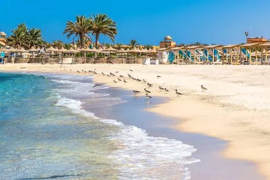 Abu Dabbab Beach Marsa Alam - Egypt tour Magic