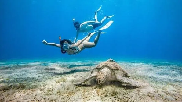 Abu Dabbab Beach Marsa Alam - Egypt tour Magic