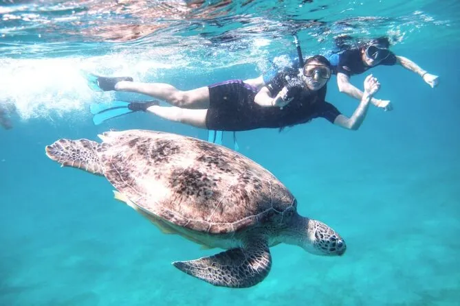 Abu Dabbab Beach Marsa Alam - Egypt tour Magic