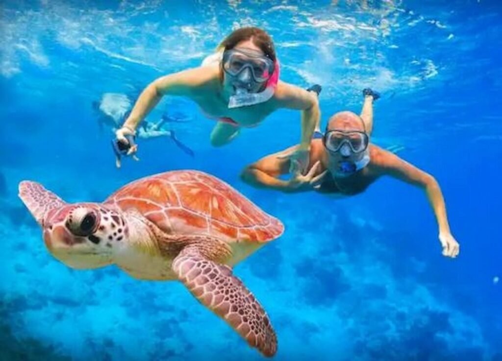 Abu Dabbab Beach Marsa Alam - Egypt tour Magic