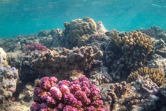 Sharm El Luli Beach - Egypt tour Magic