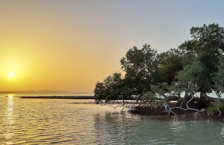 Wadi El Qulaan - Egypt tour Magic