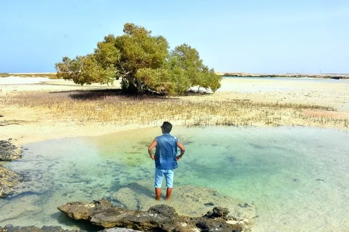 Wadi El Qulaan - Egypt tour Magic
