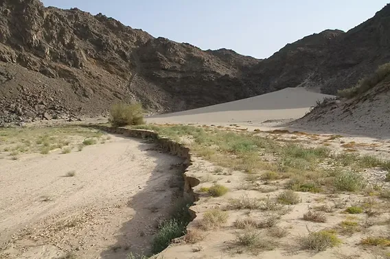 wadi el gemal national park