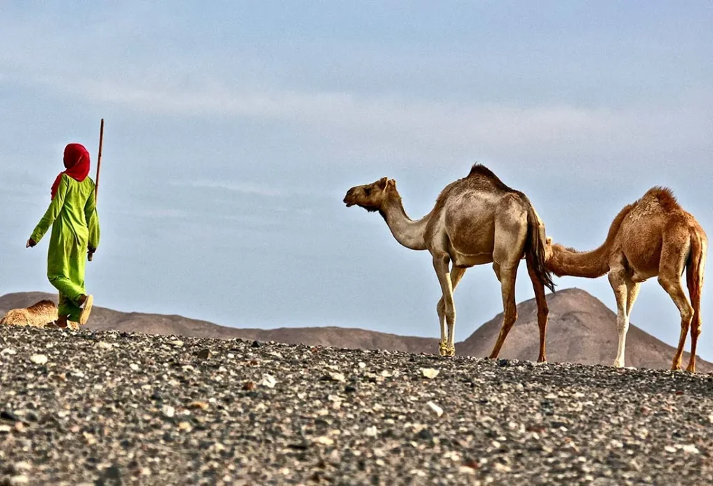 wadi el gemal national park