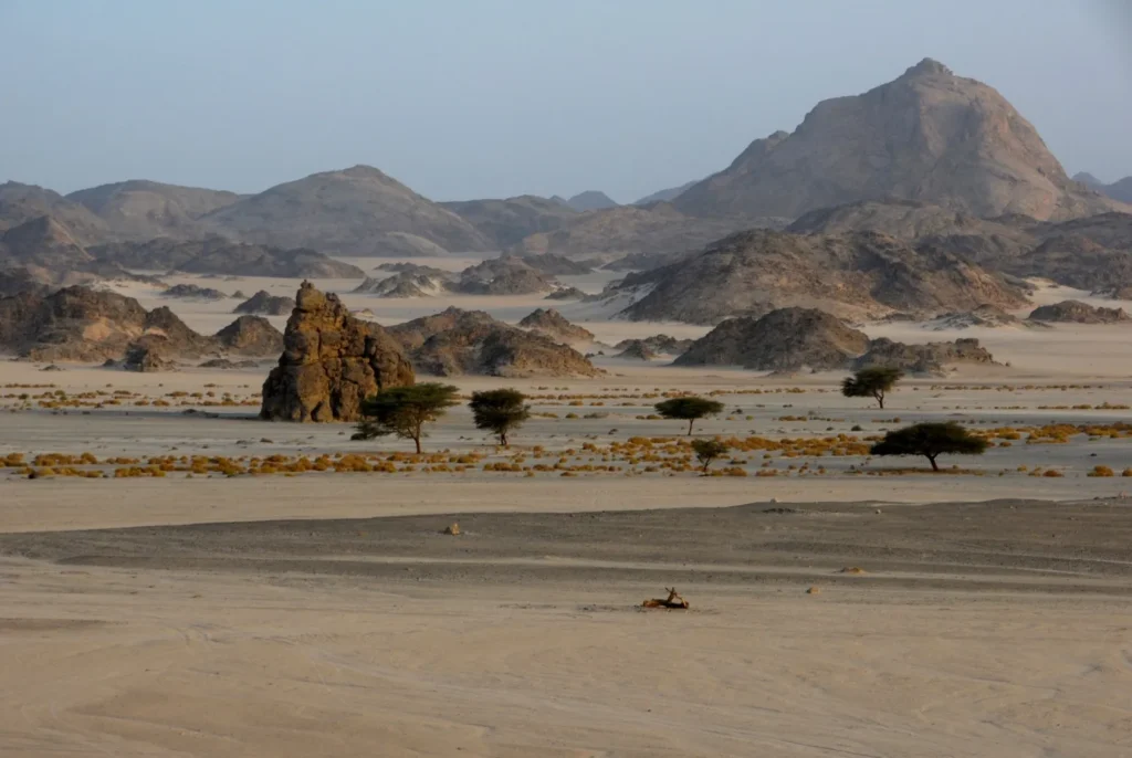 wadi el gemal national park