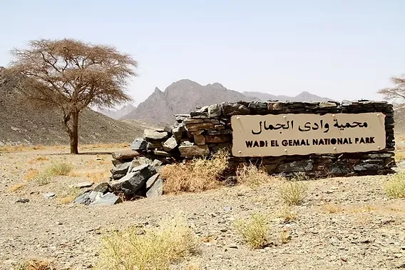 wadi el gemal national park