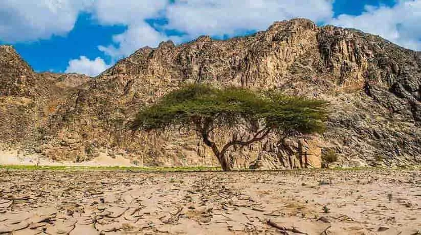 wadi el gemal national park