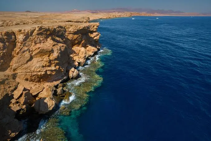 wadi el gemal national park