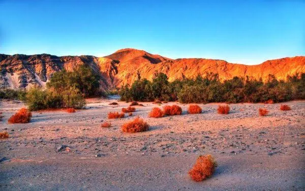 wadi el gemal national park
