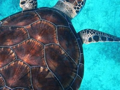 Marsa alam - Egypt tour magic