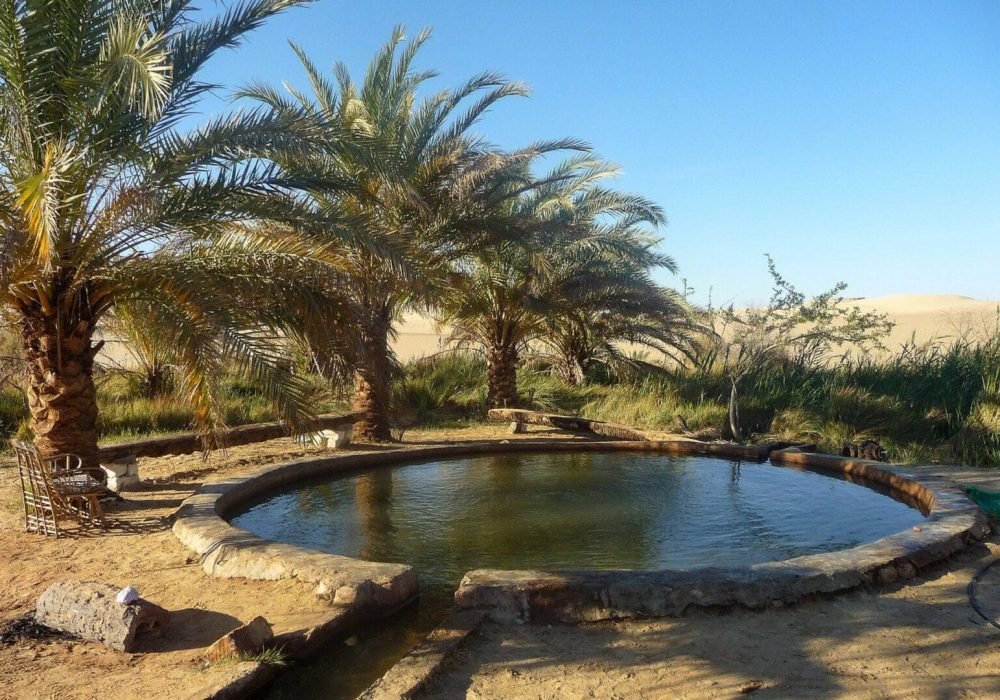 Ain kigner siwa with egypt tour magic