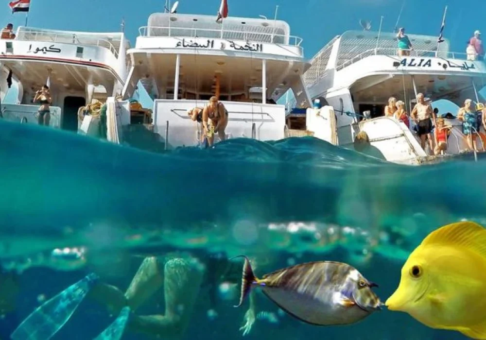 Budget Tours and Activities in Egypt