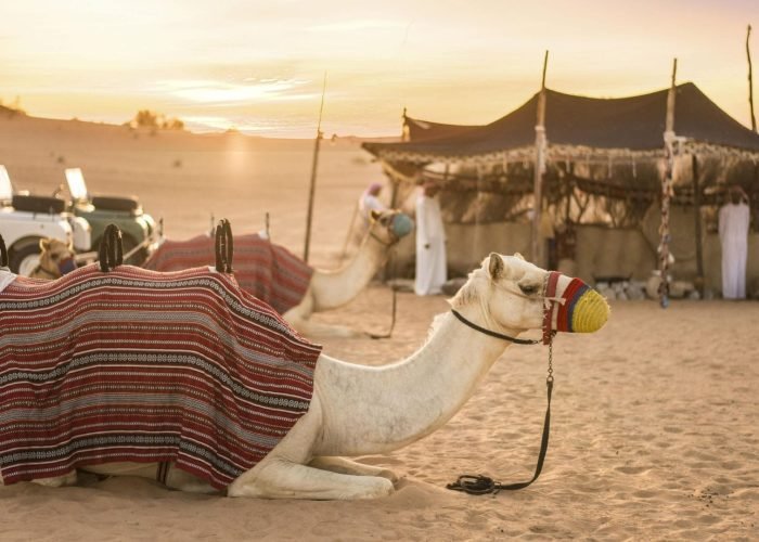 Desert Safari & Bedouin Experience