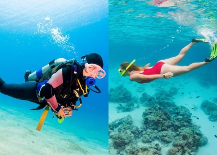 Snorkeling & Scuba Diving