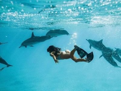Dolphin House - Egypt tour magic