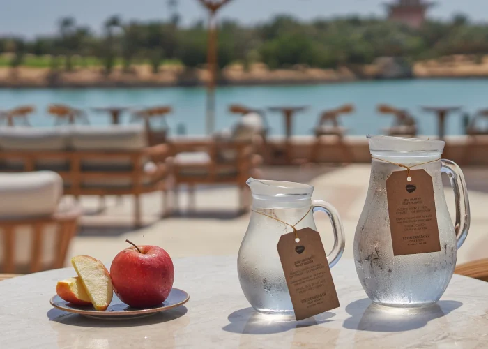 El Gouna's eco-tourism, featuring nature reserves and sustainable resorts.