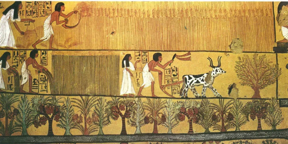 Farmers in ancent Egypt - Egypt tour Magic