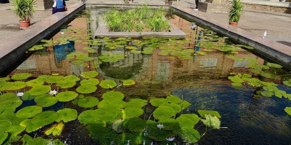 Gardens as Royal Spaces - Egypt tour magic
