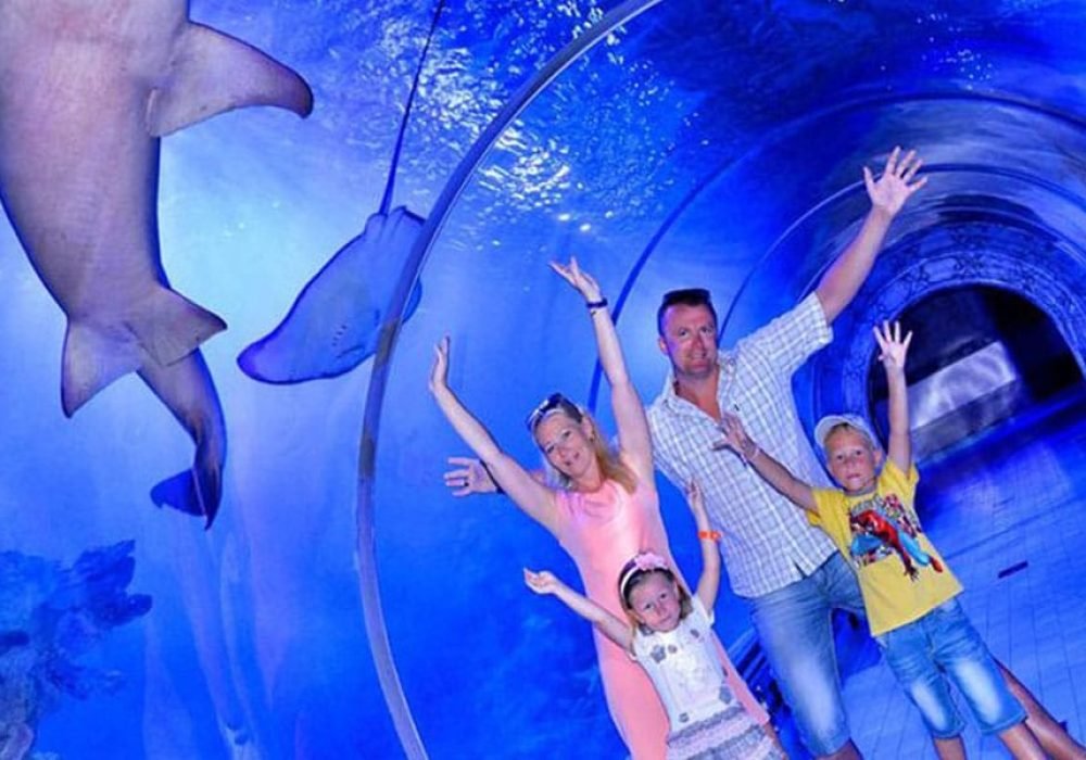 the Grand Aquarium