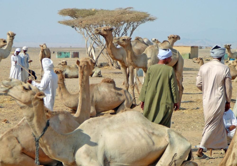 Shalateen - Egypt tour magic