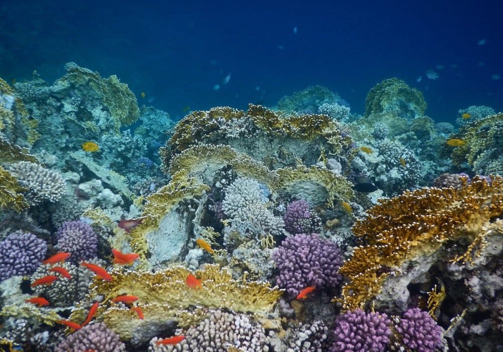 Sharm El Naga