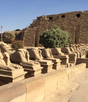 Kebash (ram-headed sphinxes) at Karnak Temple in Luxor with Egypt Tour Magic.