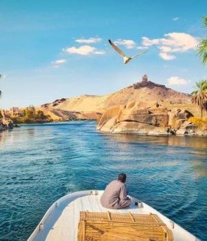 Aswan Nile River