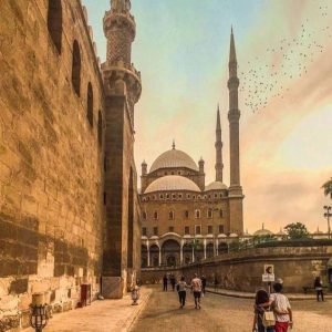 cairo salah