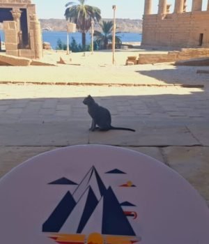 phiala temple with egypt tour magic