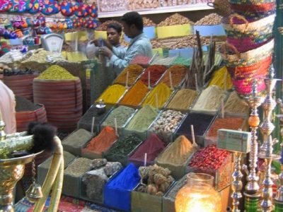 hurghada city tour  egypt tour magic