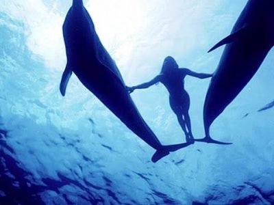 dolphen house -Egypt Tour Magic