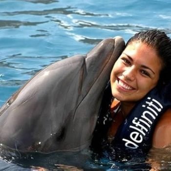 dolphin show