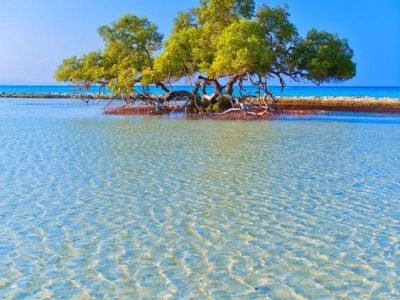 marsa alam egypt tour magic