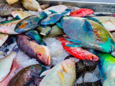 Fresh fish at the fish market in Hurghada. Egypt