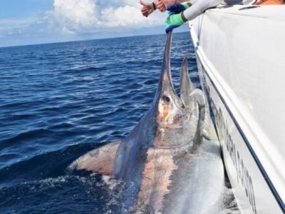 fishing with egypt tour magic5