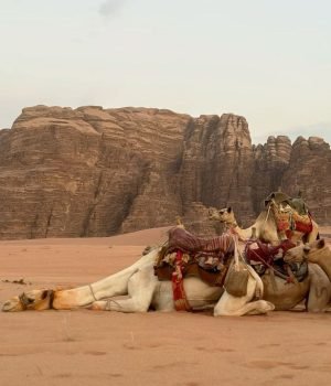Thrilling jeep safari through Hurghada's desert, featuring stunning views and cultural stops.