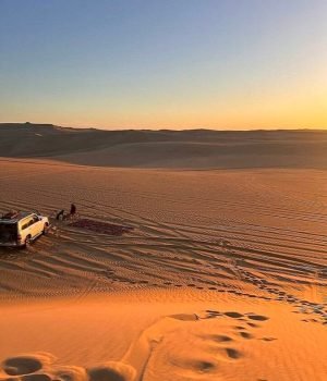 safari trip in siwa oasis