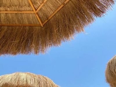 paradise island with egypt tour magic