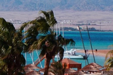Soma Bay tours and Excursions