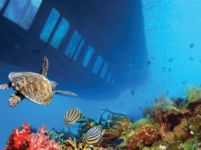 submarin Egypt tour magic