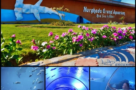 the Grand Aquarium