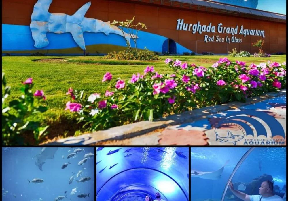 the Grand Aquarium