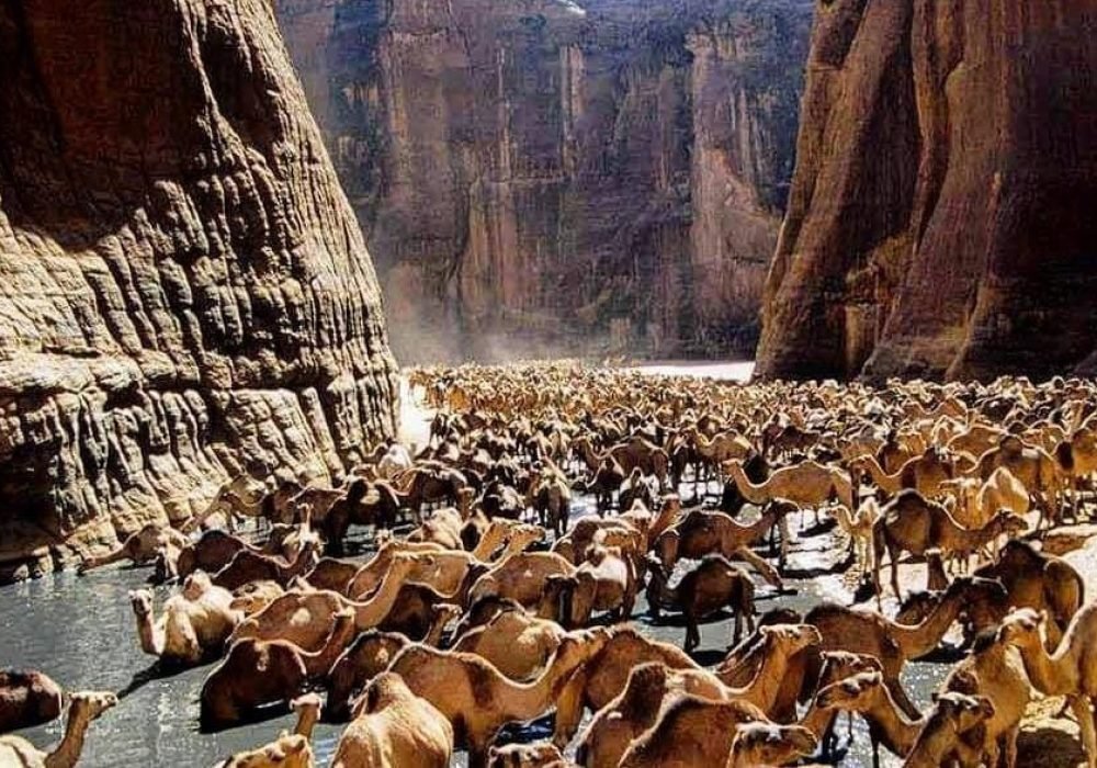 wadi el gemal-Egypt tour magic